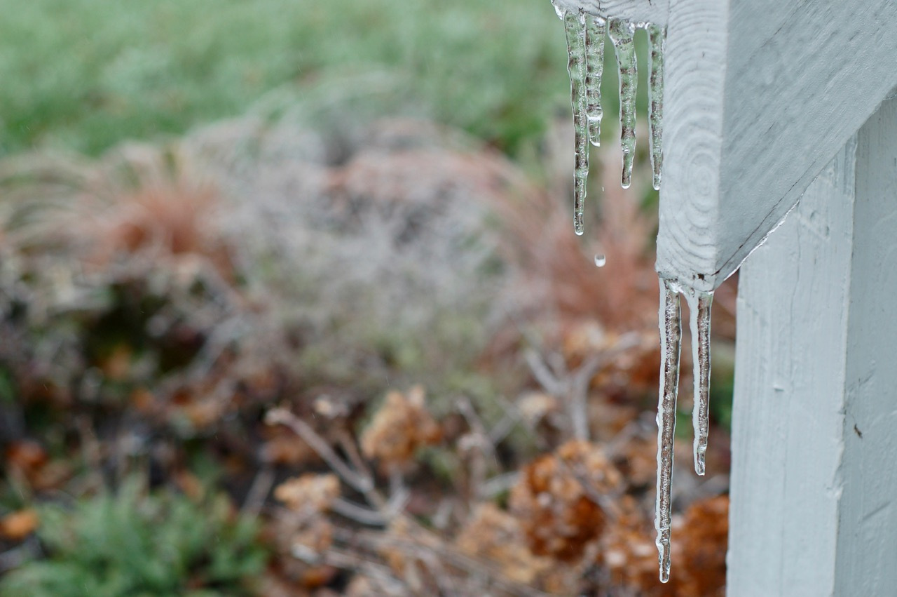 dripping icicles_0011 (1)